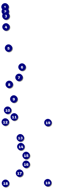 50th Anniversary Raffle Ticket Front Field Markers