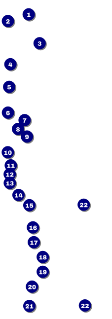 All Purpose Geometric Raffle Ticket Front Field Markers