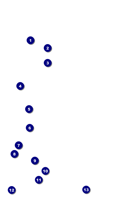 All Purpose Horizon Drink Ticket Front Field Markers