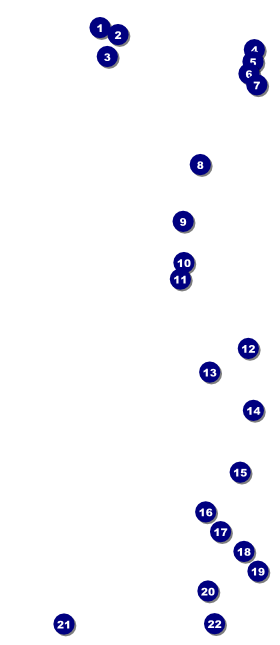 All Purpose Retro VIP Pass Front Field Markers