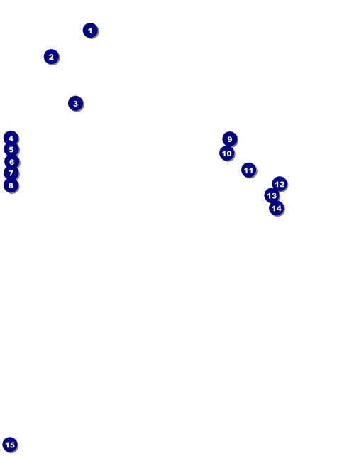 Blues Cruise Flyer Front Field Markers