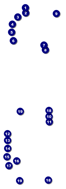 Goth Rave Event Ticket Front Field Markers