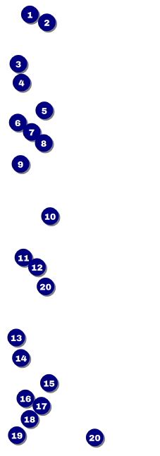Twenties Event Ticket Front Field Markers