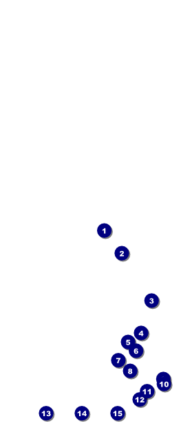 Mardi Gras Prom Table Tent Front Field Markers