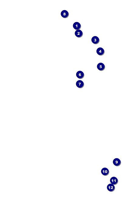 Goth Rave VIP Event Badge Small Front Field Markers