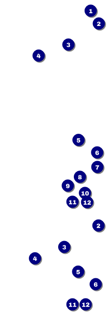 Reggae Lion Event Ticket Front Field Markers