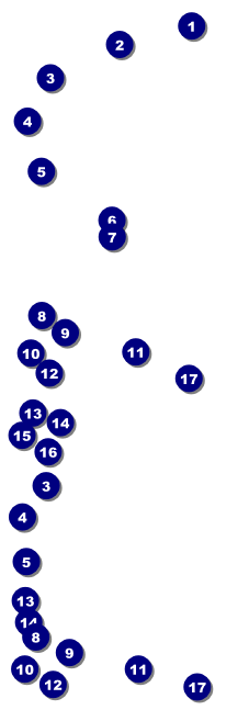 Christmas Carol Reserved Event Ticket Front Field Markers