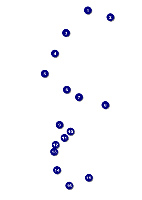 All Purpose  Corners Black and White Postcard Front Field Markers