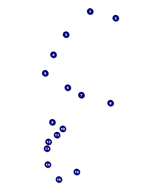 All Purpose  Corners Black and White Flyer Front Field Markers