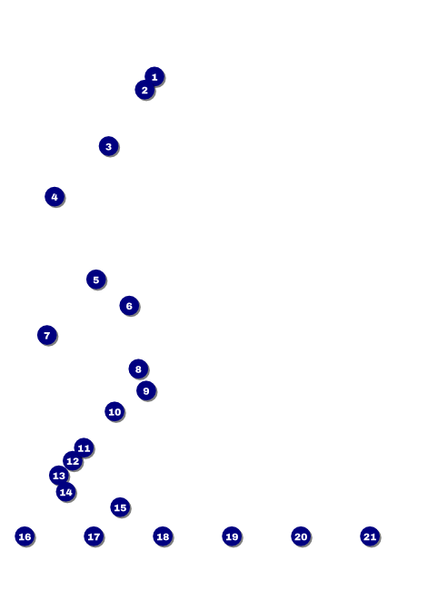 Classic Black Pinstripe Logo Flyer Front Field Markers