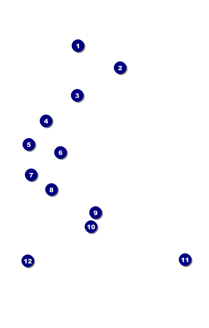 Fractal Wave VIP Event Badge Medium VIP Event Badge Medium Front Field Markers