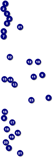 All Purpose Big Logo Magenta Event Ticket Front Field Markers