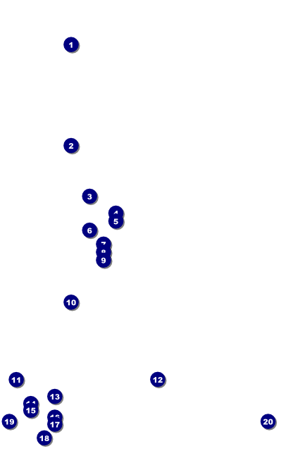 Year Neon Lights Poster Front Field Markers