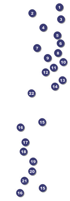 Nightclub Blue Raffle Ticket Front Field Markers