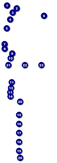 Year Parchment Paper Raffle Ticket Front Field Markers