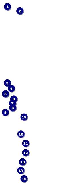 Cherry Blossom Circle Raffle Ticket Front Field Markers