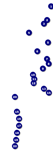 Clouds Raffle Ticket Front Field Markers