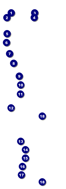 Roaring 20s Raffle Ticket Front Field Markers