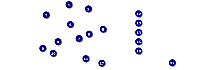 Symphony Raffle ticket Front Field Markers