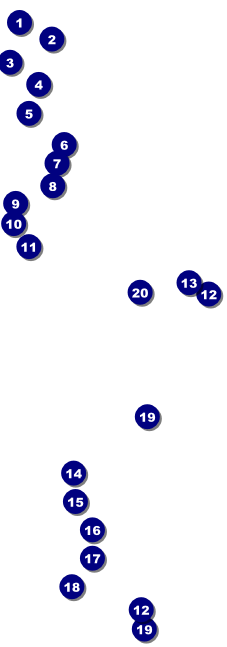 Your Image Raffle Ticket 001 (Pink) Front Field Markers