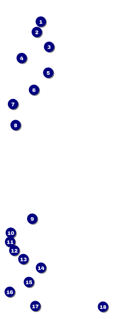 Red Carpet VIP Pass Front Field Markers