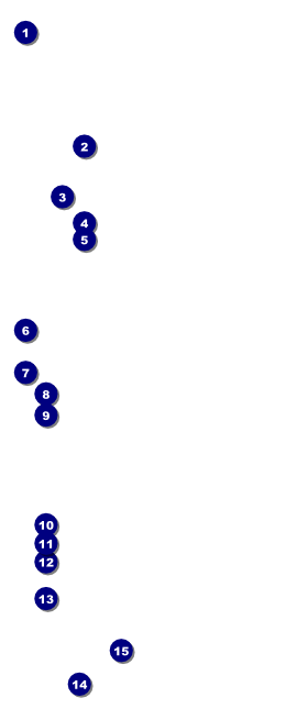 Year Neon Lights VIP Pass Front Field Markers