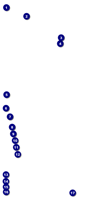 Karaoke VIP Pass Front Field Markers