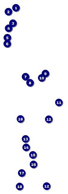 All Purpose Angle Raffle Ticket Front Field Markers